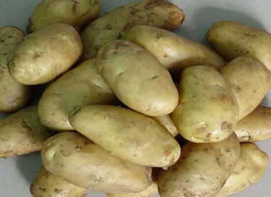 糧油類配送：深圳土豆批發