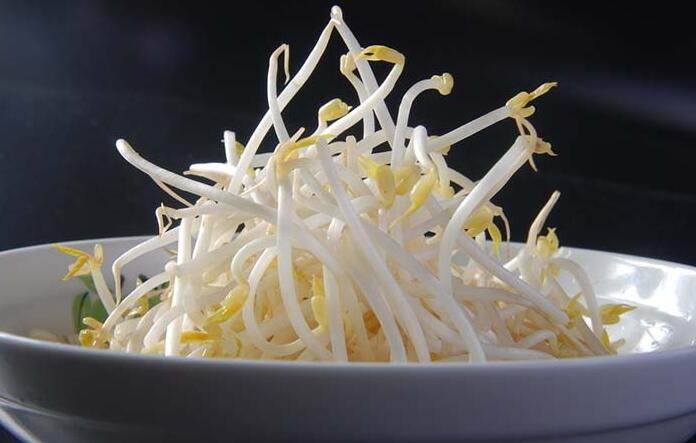 1760175130.jpg tupian_lvdouya3.jpg