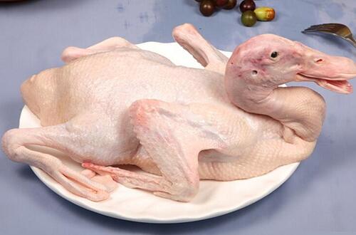 1760178074.jpg tupian_shuiyarou1.jpg