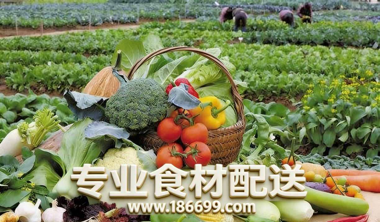 惠州食材供應鏈為您普及：冬季夏季的蔬菜營養有什么差別？