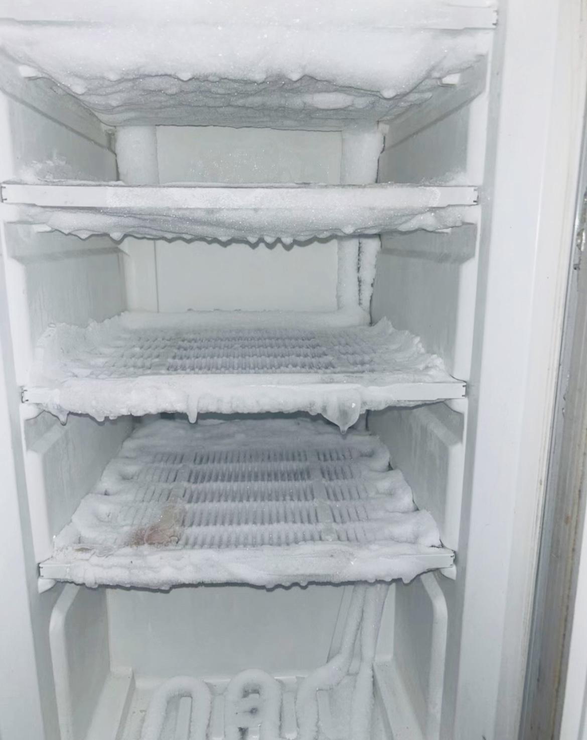 冰箱結冰可能不是故障而是用錯了！東莞食材生鮮?配送中心與您談一談