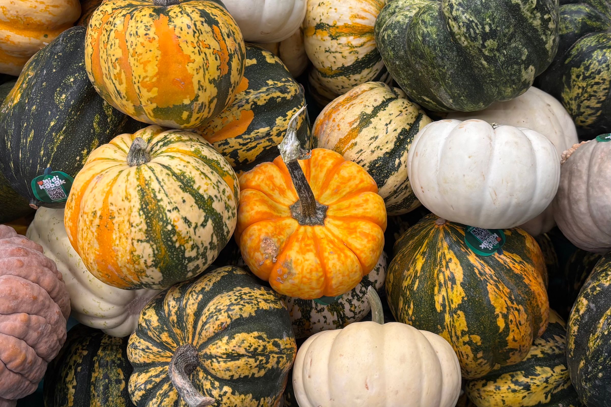 1781277274852335.jpg pexels-eevnull-2156406516-34623116.jpg